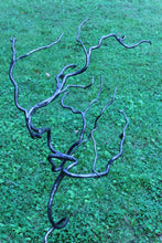 Blacksmith Metal Art - www.mittysmetalart.com - Metal Bonsai Tree Garden Sculpture 